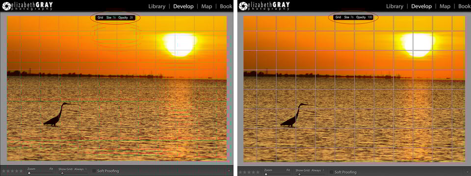 Grid Opacity