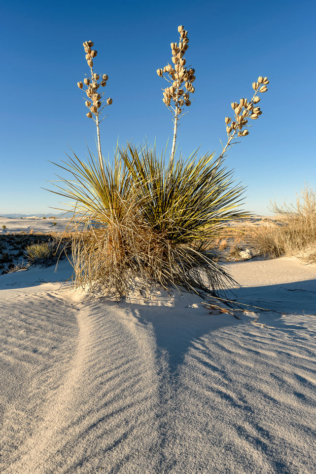 Nikon 24mm f/1.8G Image Sample (1)