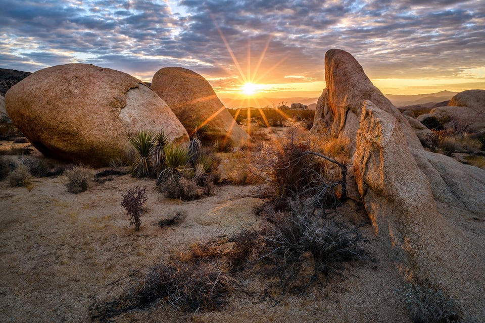 Sunrise at Joshua Tree National Park