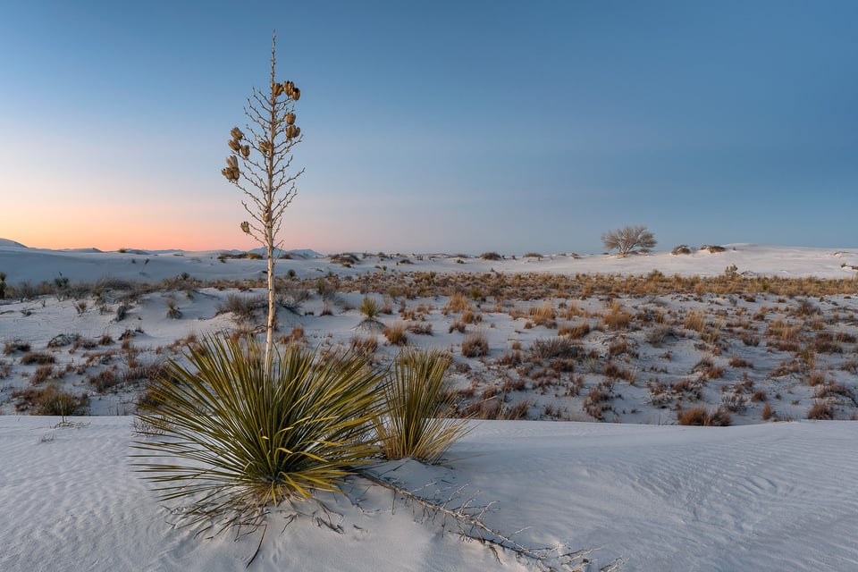 Nikon 24mm f/1.8G Image Sample (6)