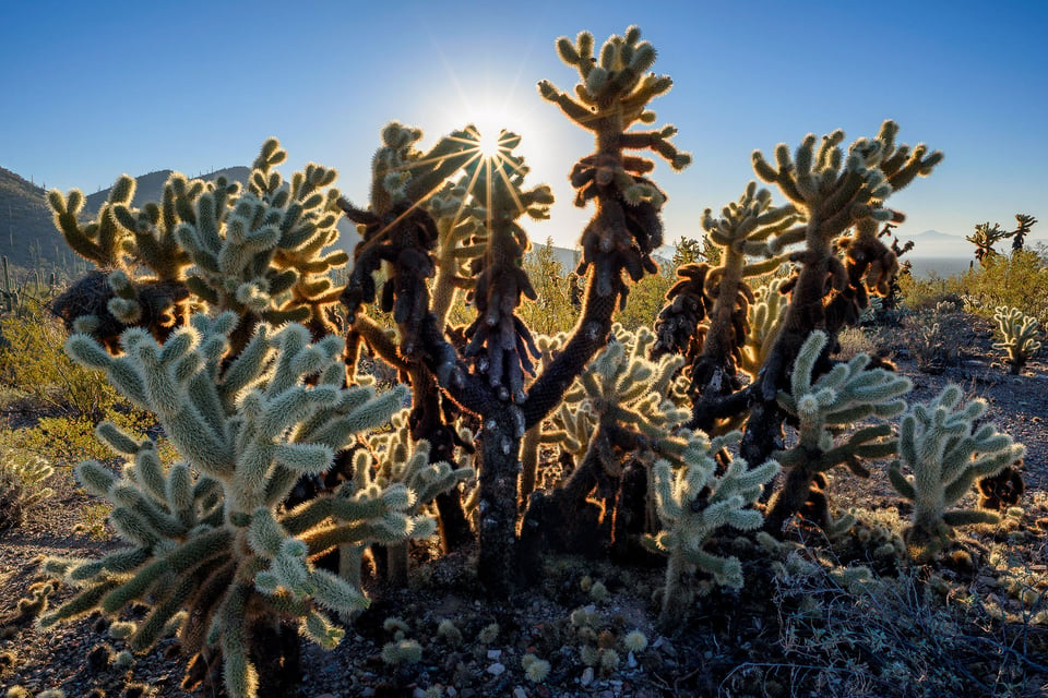 Nikon 24mm f/1.8G Image Sample (9)