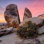 Split Rock