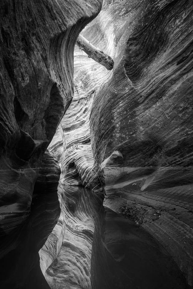 Flooded Canyon