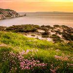 1 The Needles