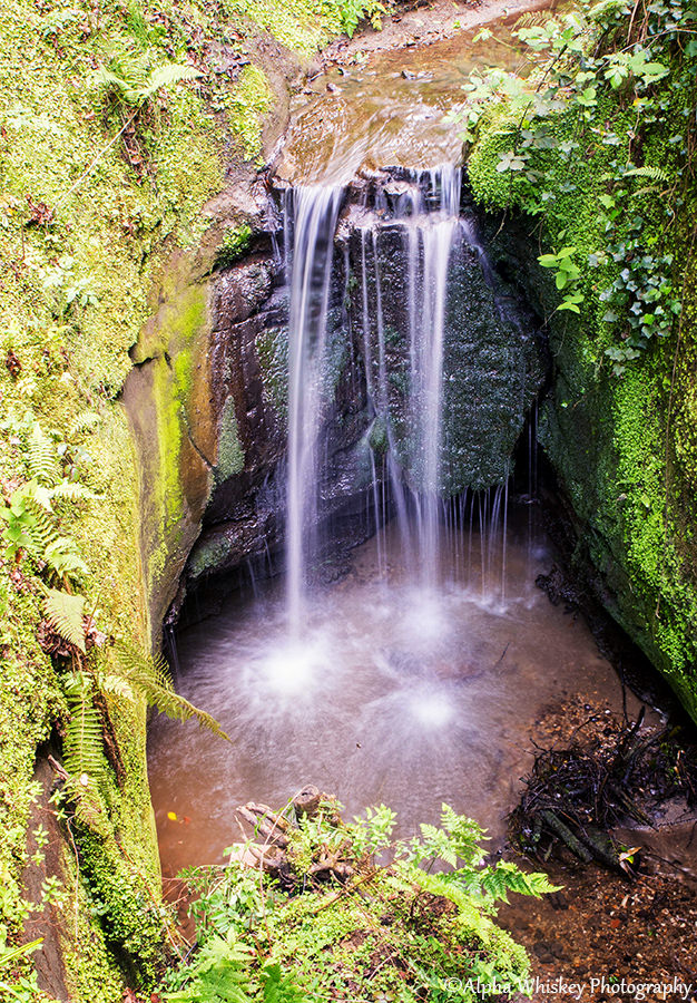 5 Shanklin Chine