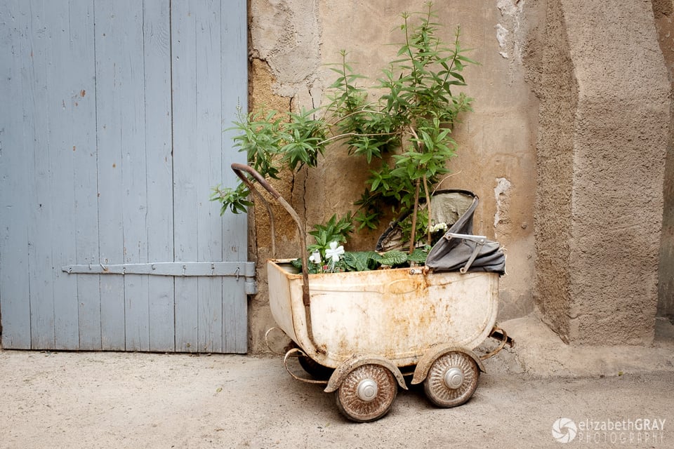 Babybuggy Planter