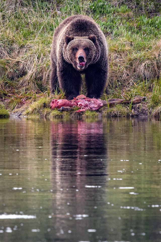 Yellowstone National Park (2)