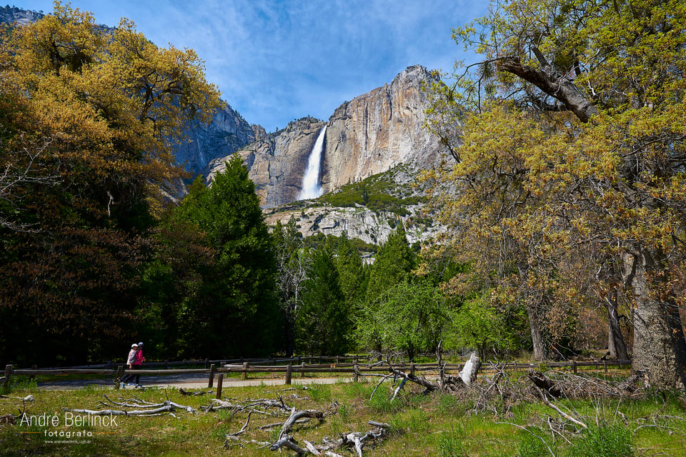 Yosemite Falls #2