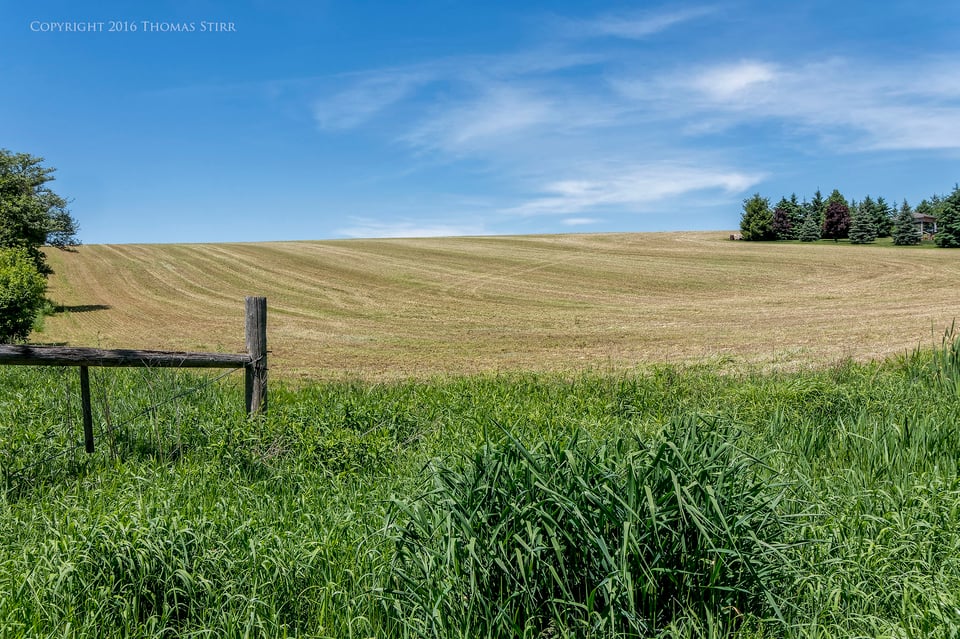 elora photo tour 1