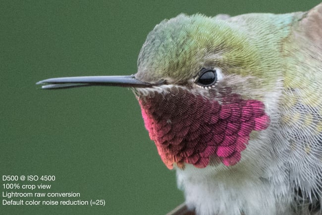 Broad-tailed Hummingbird - Nikon D500, 500mm f/4 + 1.4x T.C., ISO 4500 1/2000s f/10