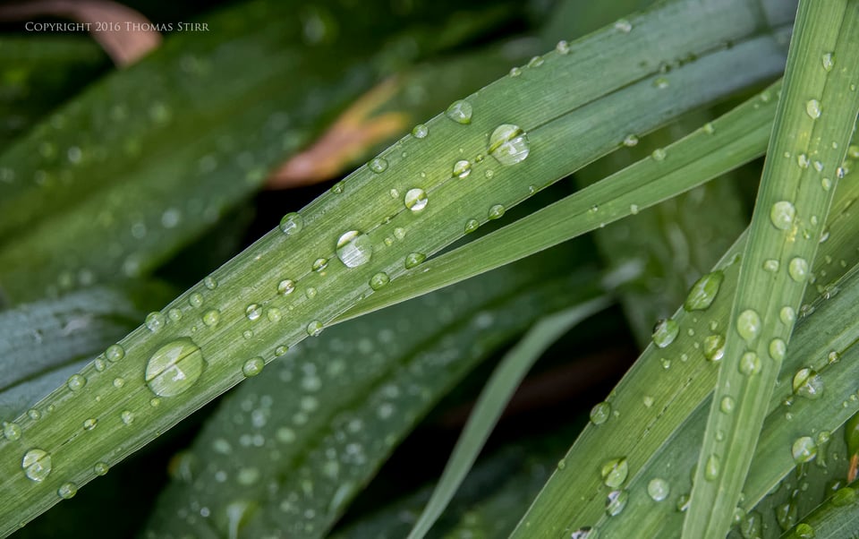 after the rain 7