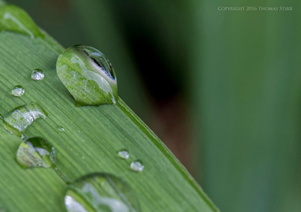 after the rain 9