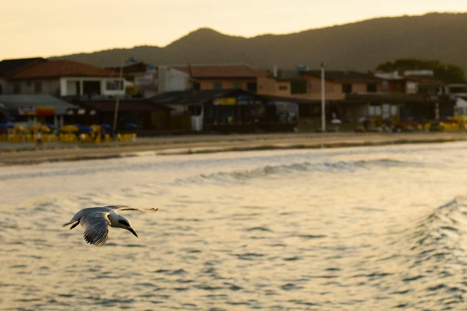 AA 36 Barra da Lagoa Beach