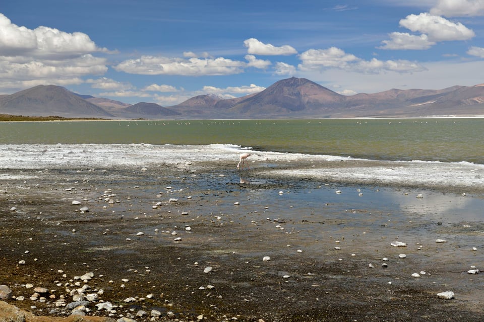 Image 1 Salar de Surire