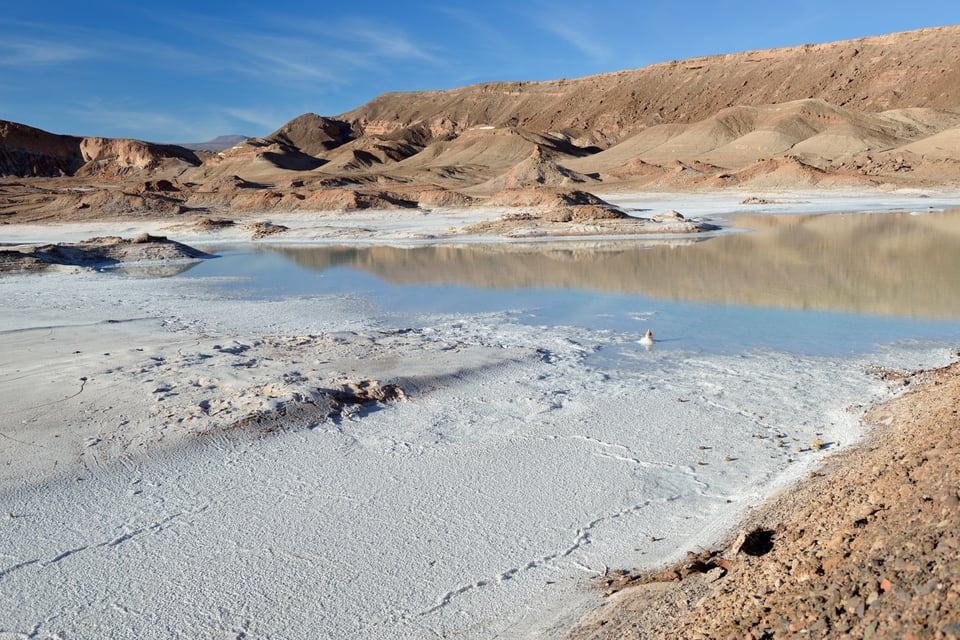 Image 21 Salar near San Pedro with cola bottle