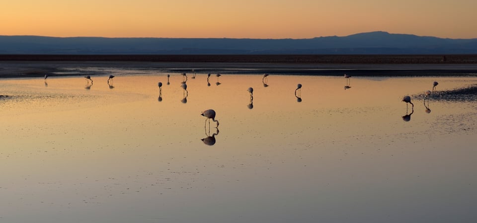 Image 30 Salar de Atacama