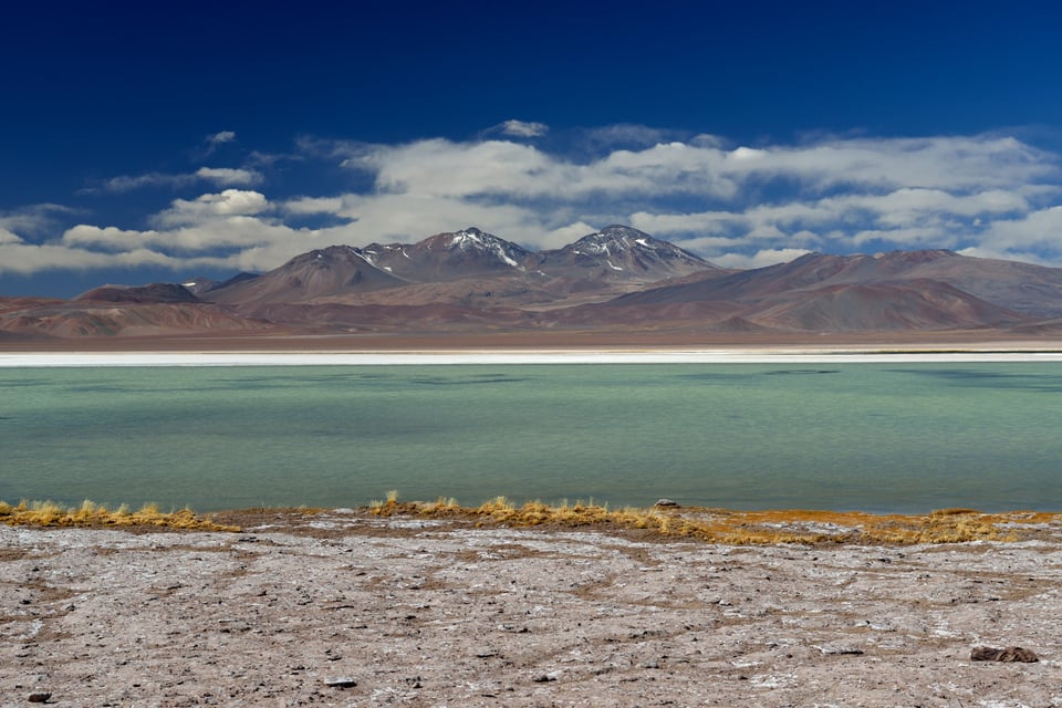 Image 8 Salar de Maricunga