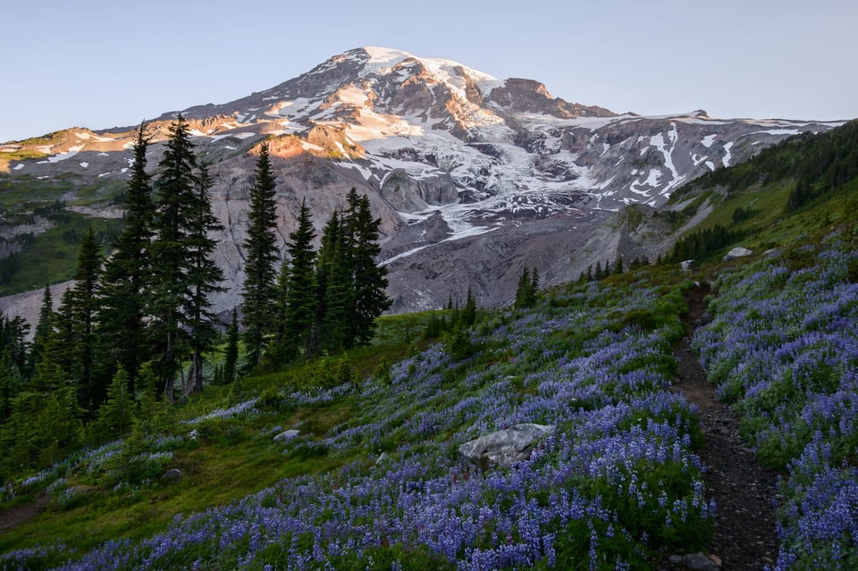 Mount Rainier