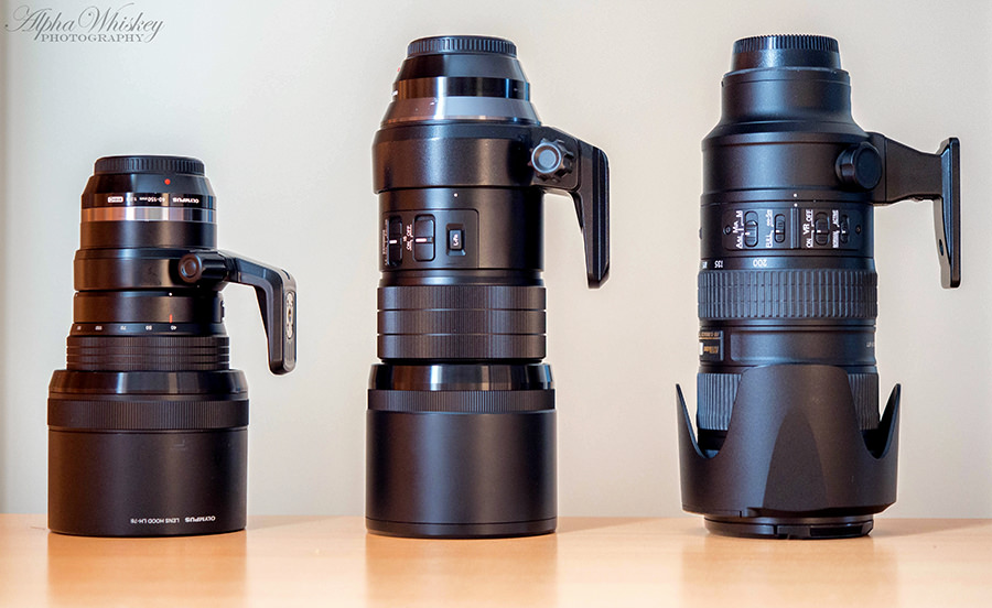 Olympus 300mm f/4 - A User Experience Olympus 300mm f/4 - A User Experience