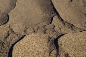 Focus Stack (4)