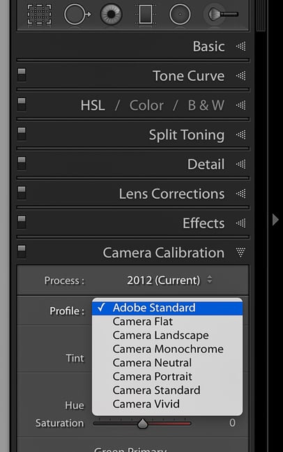 Camera Profile options