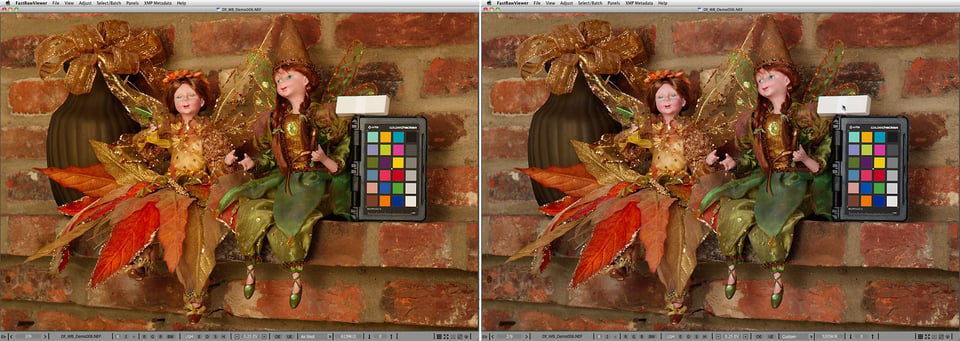 Pict2-FastRawViewer_White-balance-Demo_06_asShot_and_Custom