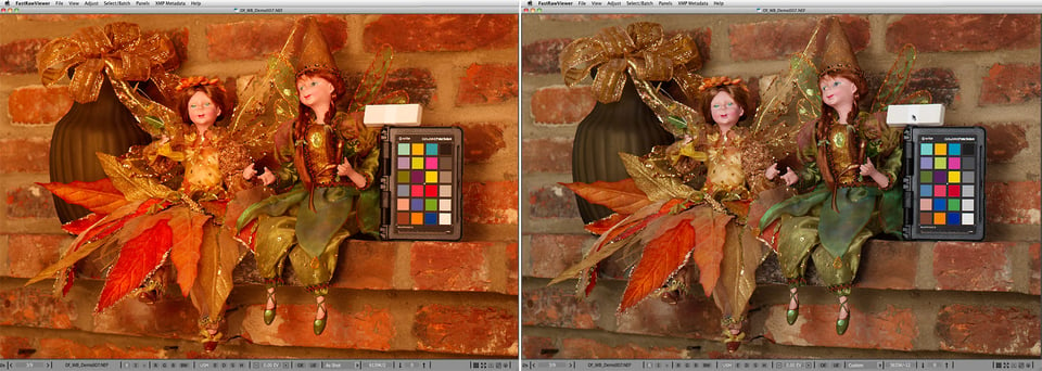 Pict3-FastRawViewer_White-balance_Demo_07_asShot_and_Custom