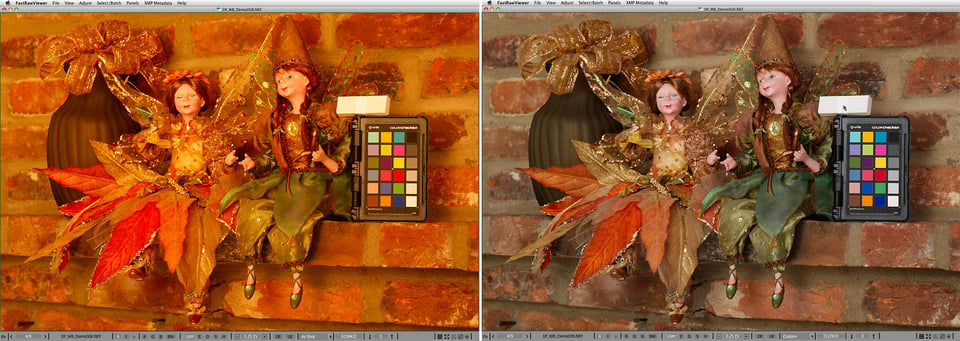 Pict4-FastRawViewer_White-balance_Demo_08_asShot_and_custom