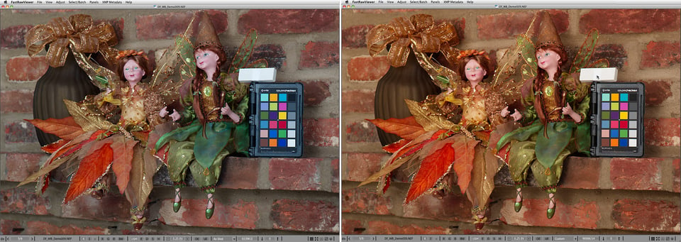 Pict5-FastRawViewer_White-balance_Demo_09_asShot_and_custom