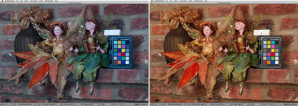 Pict6-FastRawViewer_White-balance_Demo_10_asShot_and_custom