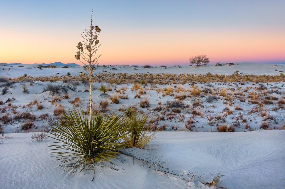 Sunset at the White Sand Dunes National Monument