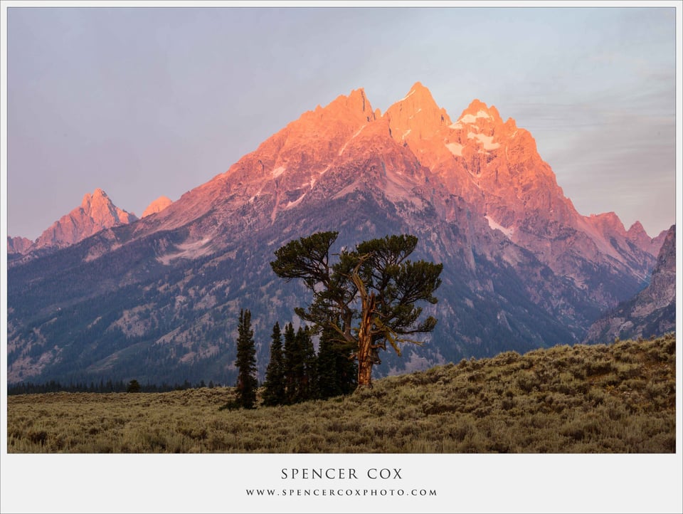 Spencer-Cox Warm and Cold