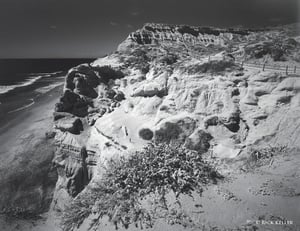 Torrey Pines