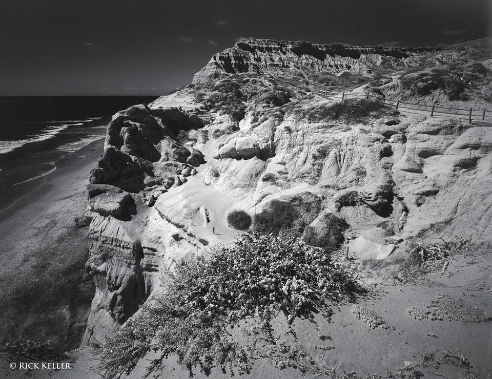 Torrey Pines