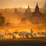 1. Kyaw-Kyaw-Winn_Bagan_Myanmar_Luminous-Journeys-Photo-Tours