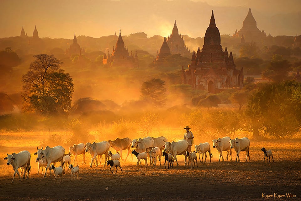 1. Kyaw-Kyaw-Winn_Bagan_Myanmar_Luminous-Journeys-Photo-Tours