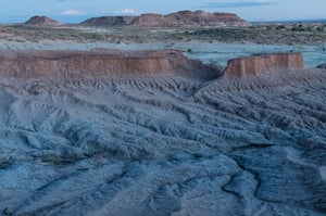 Verm-4stop-VR-Petrified-Forest-7992