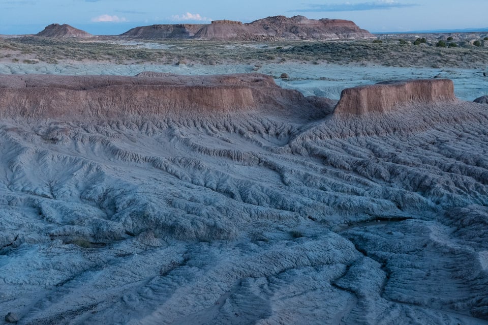 Verm-4stop-VR-Petrified-Forest-7992