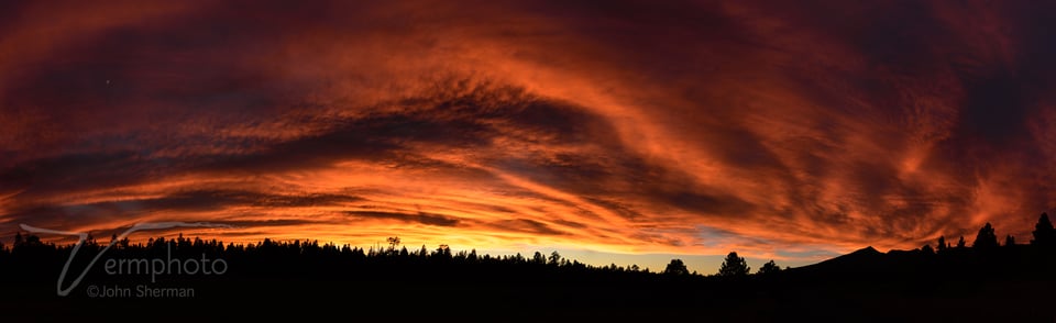 Verm-moonrise-backyard-5693-Pano