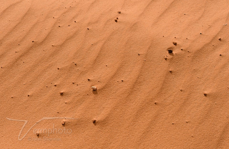 Verm-sand-ripples-Snow-Canyon-5352