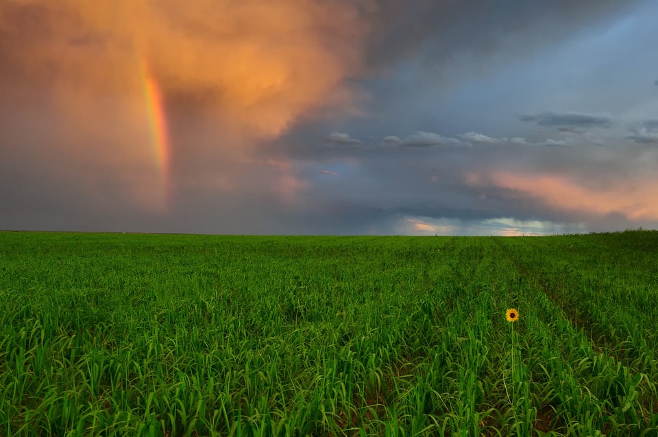 Why I Love Colorado (12)