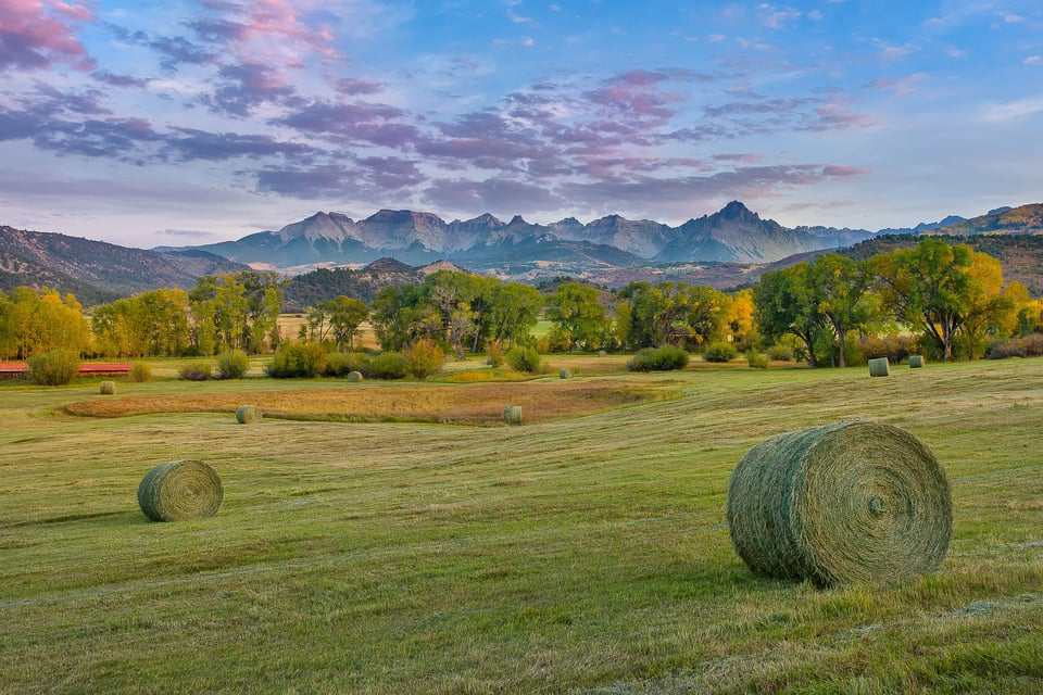 Why I Love Colorado (15)