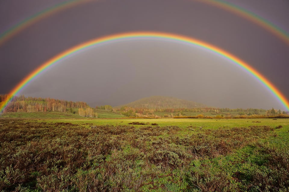 Why I Love Colorado (3)