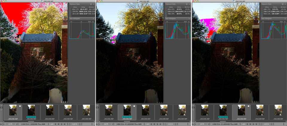 Fig20_2381-2385_Histograms_Exposure-Statistics_OE-Indication
