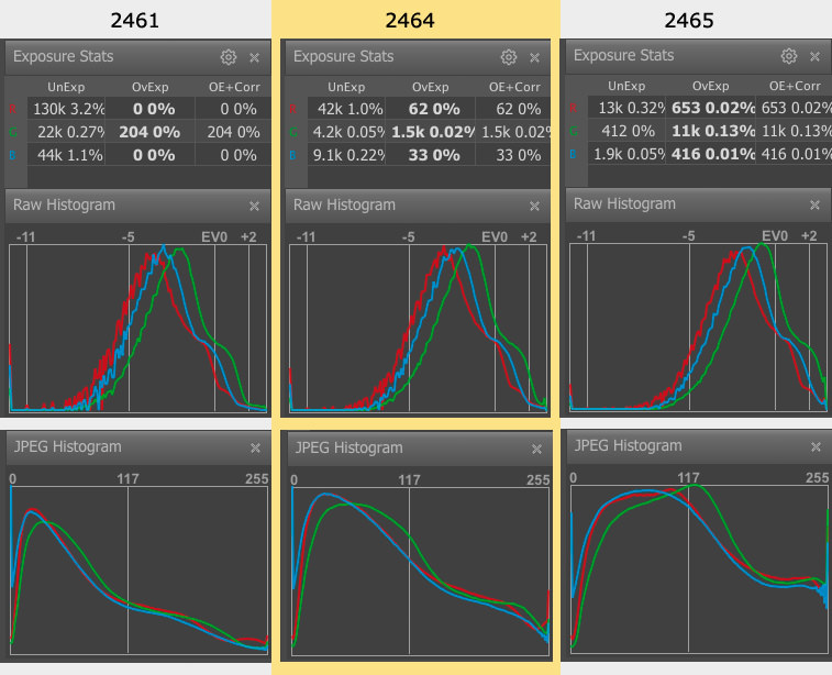 Fig9_2461-2464-2465_RAW-and-JPEG-Histograms_Exposure-Statistics