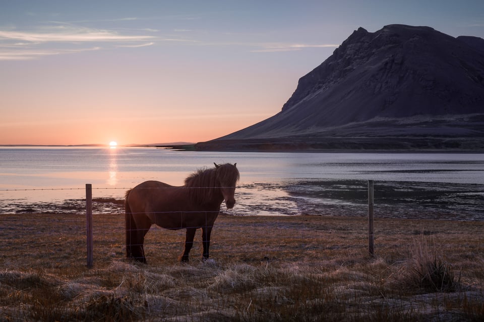 Backlighting at sunrise