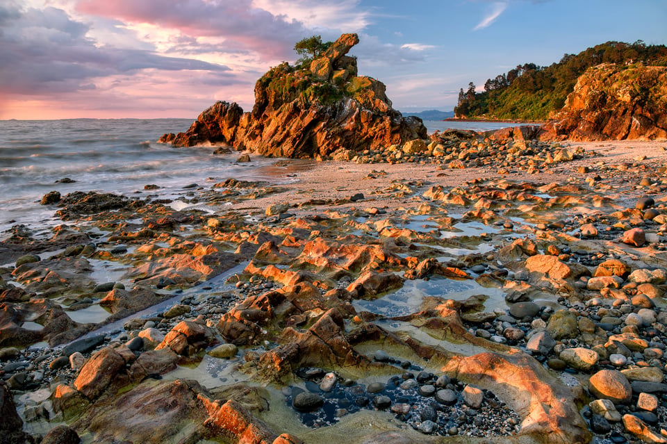 New Zealand Shore at Sunset