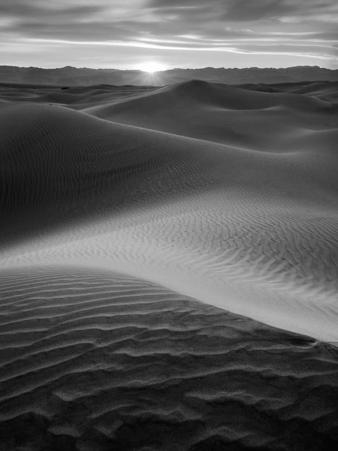 Mesquite sand dunes