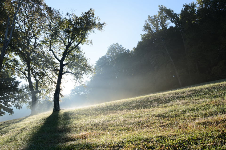 Out of camera unedited landscape photo