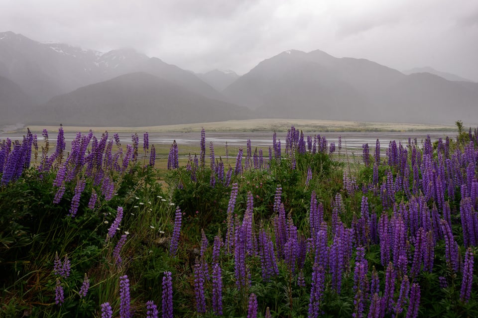 Overcast day and soft light